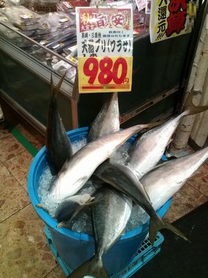 スシローさんでお昼ご飯 私の日記帳