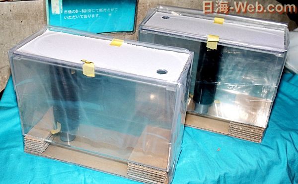 新しいタイプが加わったリフジウム水槽 : くまぱぱのブログ
