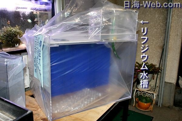 ６００ｘ４５０ｘ４５０の特注かんたん槽 : くまぱぱのブログ