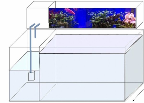 リフジウム水槽の設置場所は どこ？ : くまぱぱのブログ