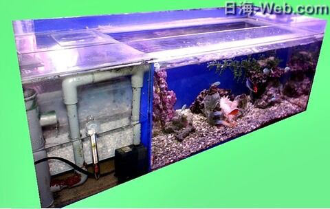 かんたん槽シリーズを知り尽くしたS様 は 神の子？ : くまぱぱのブログ