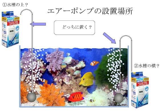 エアーポンプ しかるべき所にセットしてね 間違ったところにセットすると大変 くまぱぱのブログ