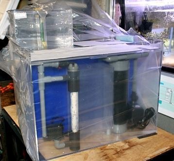 600x450x450の特注かんたん槽 : くまぱぱのブログ