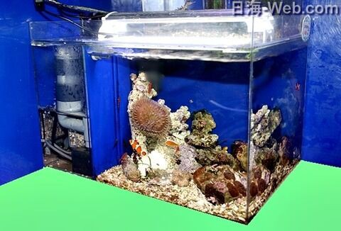 かんたん槽シリーズを知り尽くしたS様 は 神の子？ : くまぱぱのブログ