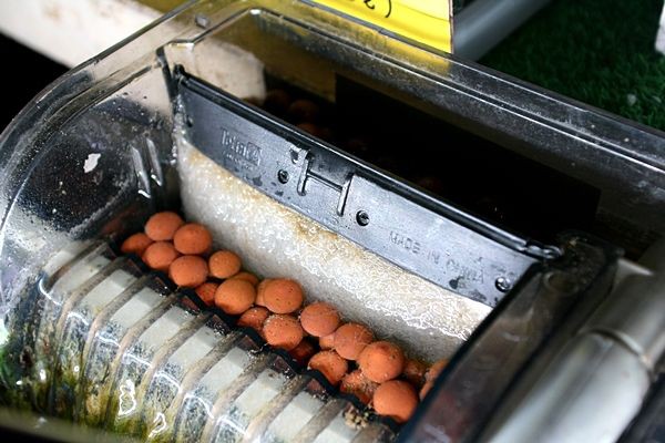外掛けフィルター テトラワンタッチフィルターで海水魚飼育