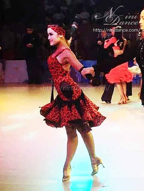 D588赤い豹柄に黒アクセントで強い女風ラテンドレス : 社交ダンス 