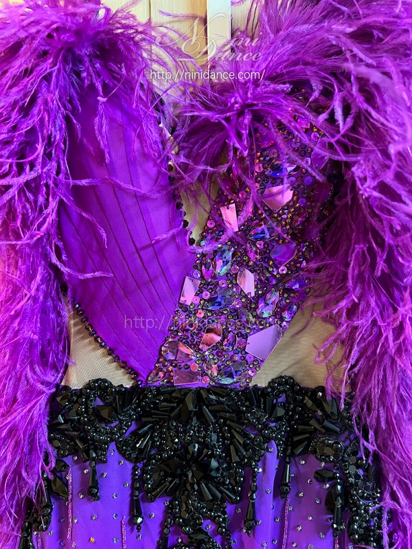 DA084豪華羽根付き紫黒グラデーションのモダンドレス : 社交ダンス 