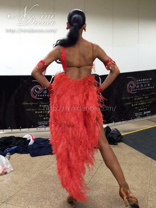 D569フレイムレッドの羽根が踊る最旬スタイルラテンドレス : 社交