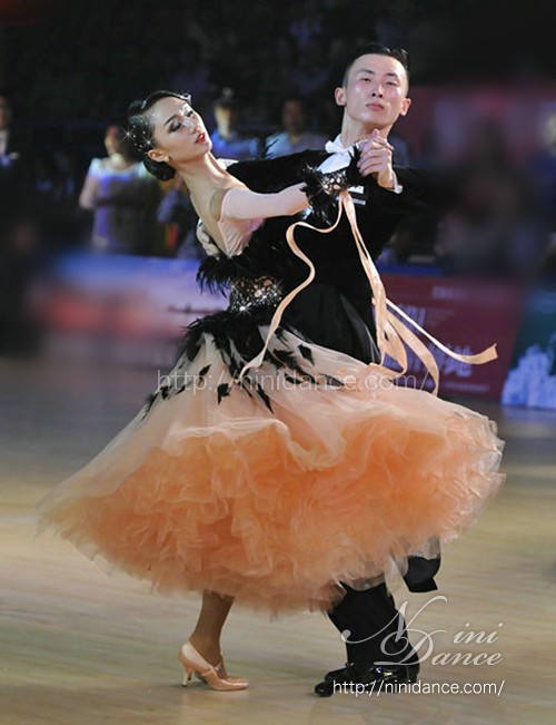 D514黒羽根とマロンベージュチュールのモダンドレス : 社交ダンス