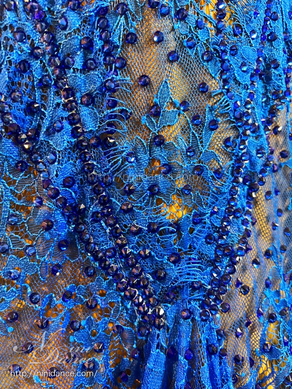 DA094美しい総レースのロイヤルブルーモダンドレス : 社交ダンスウェア