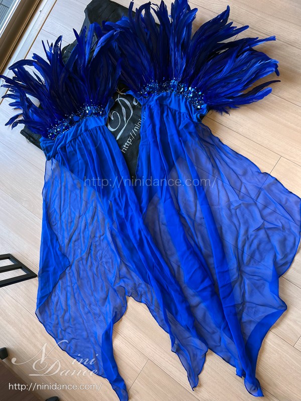 ◆お値下げ！¥15800→¥11800 ★セキネ・モダンドレス【11号】中古良品 NiniDanceオーダー商品の確認ページ（2025年） : 社交ダンス