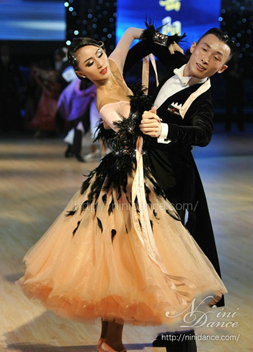 D514黒羽根とマロンベージュチュールのモダンドレス : 社交ダンス