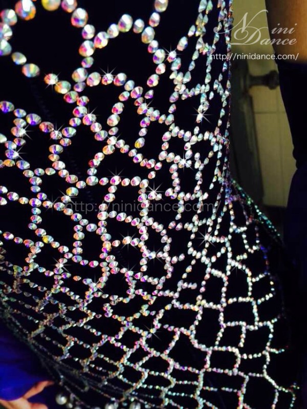 D207鱗のような石装飾で豪華な羽根付き紫モダンドレス : 社交ダンス