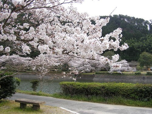 宇和町 野村ダム湖に沈んだ町 おでかけにっき