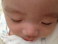 パーツ 赤ちゃんの睫毛 マタニティed ママing