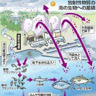 食べて応援 いいえ 避けて応援です 日本のうまい