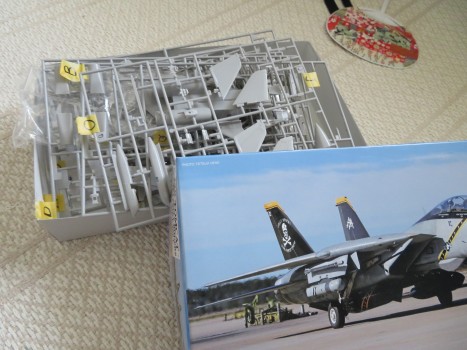 ハセガワ1/48 F-14B VF-103 ジョリーロジャーズ　ラストフライト 61jugnDLsoL._UF350,350_QL50_.jpg