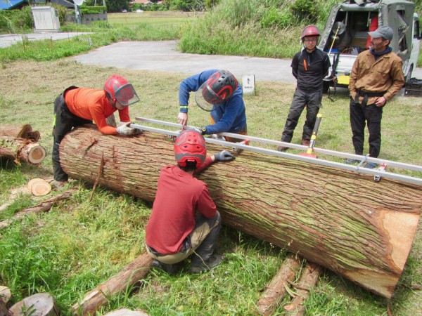 チェンソー製材---自分たちで行う大径木製材と地域おこし協力隊制度の活用についての巻 : 島根・山守network