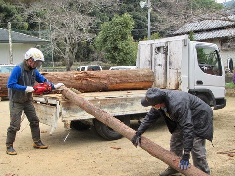 広葉樹 薪 乾燥機で人工的に乾燥 軽トラ煽りいっぱい