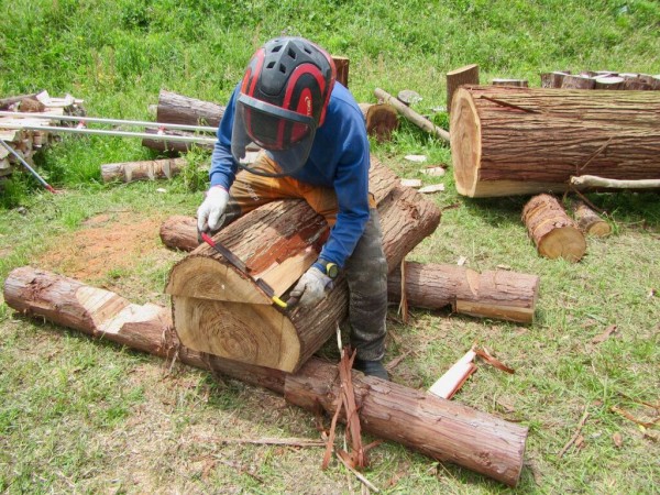 チェンソー製材---自分たちで行う大径木製材と地域おこし協力隊制度の活用についての巻 : 島根・山守network