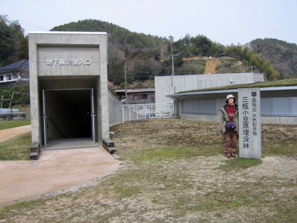 埋没材／休火山 三瓶山の埋没材 その6 言うまでもなく