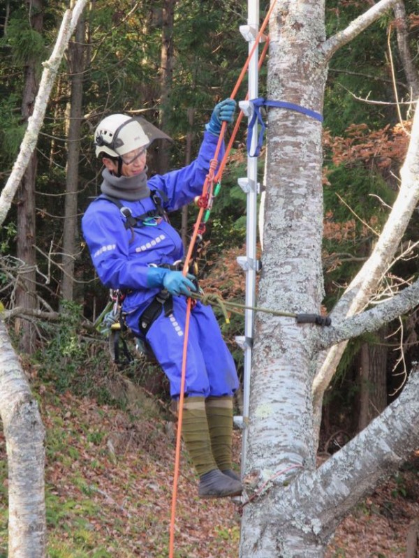 木登りが楽しくなる？「自伐林業的、または薪材収集木登りにも必要なWランヤード（樹上伐採用長尺の２本の胴綱活用）」での安全確保について  島根・山守network
