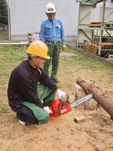 株式会社やまびこから日本人向けの４３ccの新型チェンソー『共立CS43RS・新ダイワE3043SP』が・・・もしかすると５０ccイーターに？ :  島根・山守network