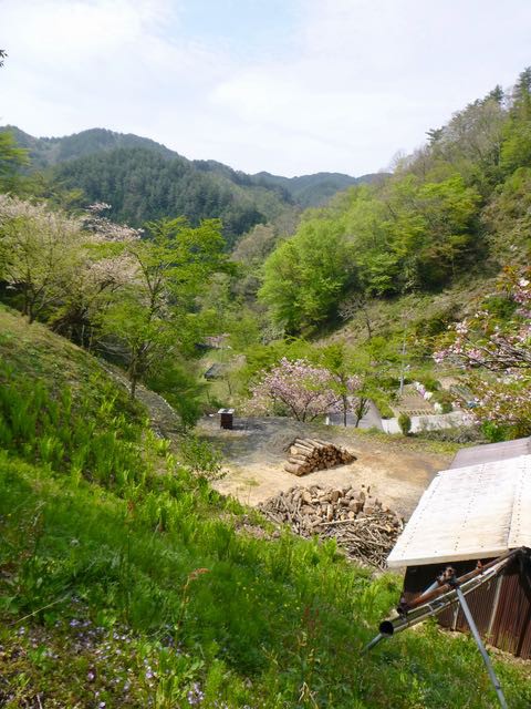 毒吸い出し用aspiveninエクストラクターほか 山 田舎暮らし でのマダニほか毒虫対策 処置体験談 島根 山守network