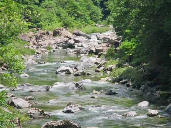 広葉樹の森を擁する川の景色 平静時 増水時 健康な奥山は街を守る 水害の多い時代に入って考えることなど 島根 山守network