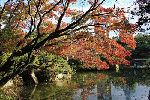 相楽園の紅葉とエステラ ランチ 女将 西遊嬉 Saiyuki