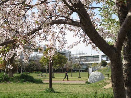 ウォーキング２０２０ みなとのもり公園 女将 西遊嬉 Saiyuki