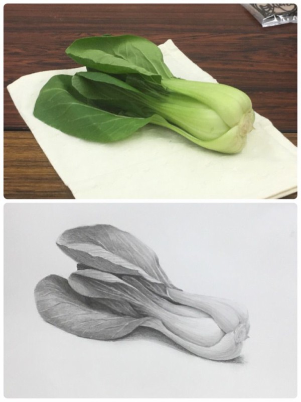 最近のデッサンまとめ 西滝直人 アトリエ日記