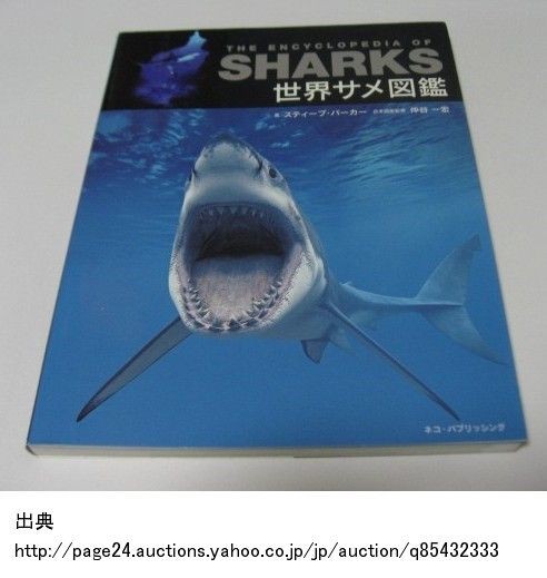 中川翔子がデザインしたグッズ イラストに盗用疑惑が浮上 芸能 エンタメまとめ