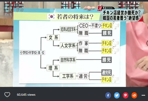 痛いニュース 韓国の若者の壮絶な将来 チキン屋か餓死 ニチャオプ報道 Nicha Op Coverage
