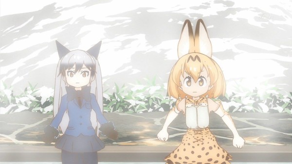 服が脱げることを知らないフレンズ 人気