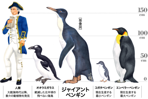 けものフレンズ 9話 感想 服って脱げるんだ すごーい にわか速報