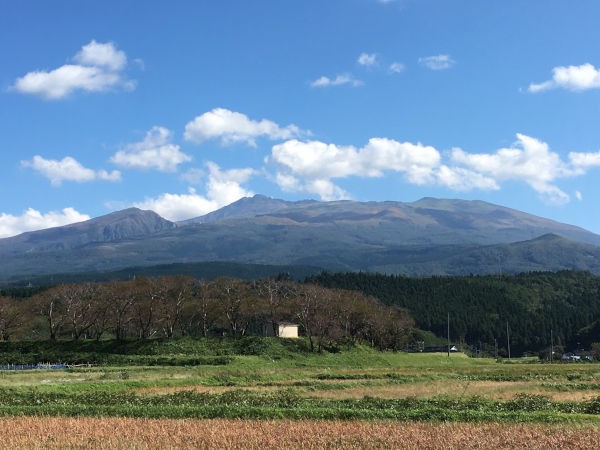 環鳥海地域観光 三崎海岸 奈曽の白滝 庭の草花にときめいて