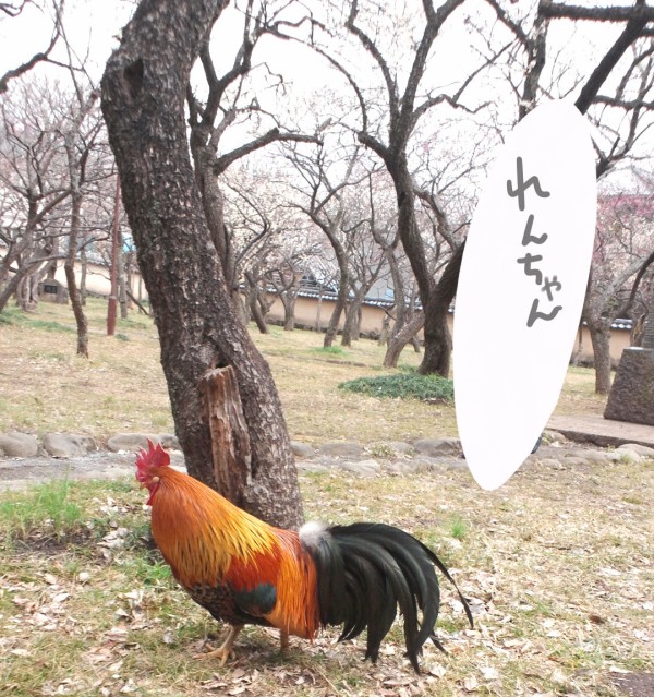 谷保天満宮で御朱印帳 とりにわブログ