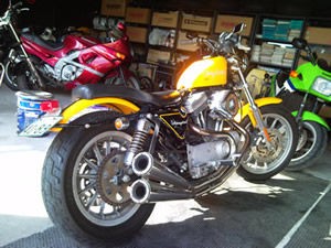 ついにハーレーダビッドソン購入 夏風ライダー