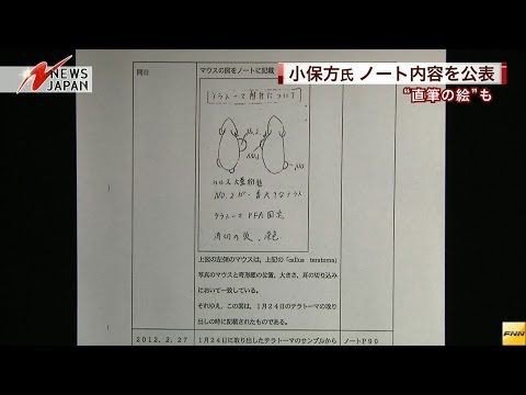 Stap小保方さんの実験ノート 8ヶ月で4ページしかなかった 無内定速報 就活2chまとめ