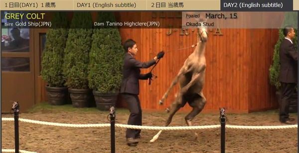 ゴールドシップ産駒は成功するの? : NO HORSE, NO LIFE. ゴールドシップ産駒は成功するの? : NO HORSE, NO LIFE.