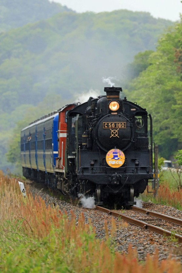 C56-160 + 12系客車 5両 C56-160 + 12系客車 5両