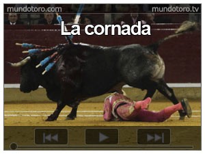 事故 動画あり 牛の角が 顔面を スペインの闘牛士 のブログ