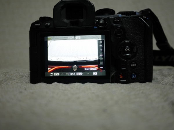 shu  OM SYSTEM OM-1 本体 シャッター数1718回 OM system OM-1 シャッター回数 確認方法 : In daily life. ～日常生活