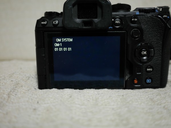 OM system OM-1 シャッター回数 確認方法 : In daily life. ～日常生活