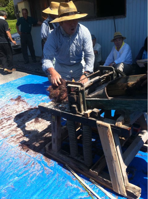 イゴ草の収穫と共同作業 田畑住まいの未来