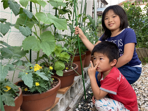 5個のタミヤ15.5Tブラシレスモーターを計測してみた : ひろやんのRC日記