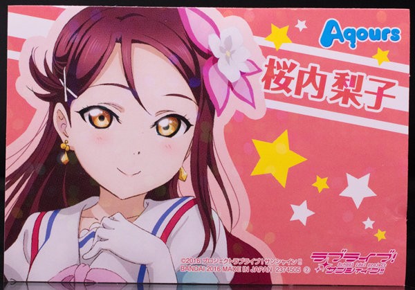 一騎当千 孫策伯符 メイドVer 応募者第一弾＆WEB限定版＆ピンク