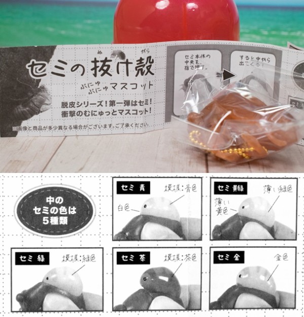 レビュー カプセルトイ「むにむに！メダカボール」「セミの抜け殻
