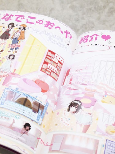 1月の西尾維新新刊「終物語・中」「なでこ本」「りぽぐら！」買ってき